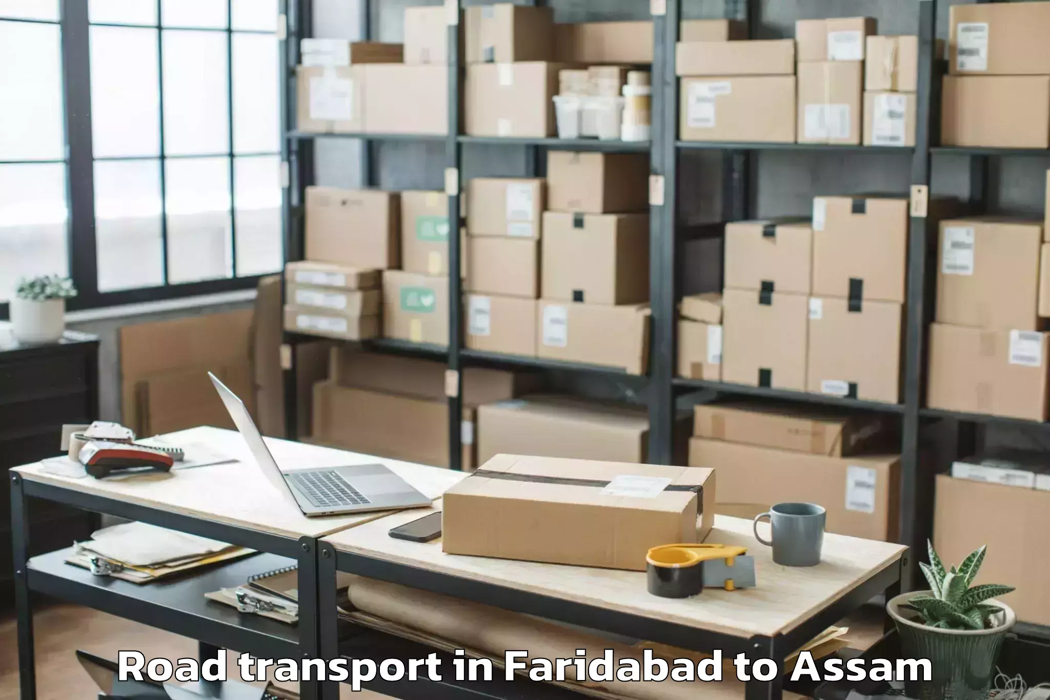 Hassle-Free Faridabad to Jamugurihat Road Transport